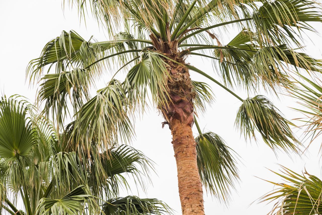 Apartamento Whispering Palms Puerto Elizabeth Exterior foto